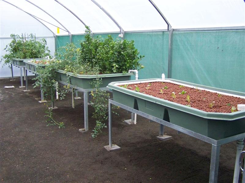 100_6119 (Custom).JPG