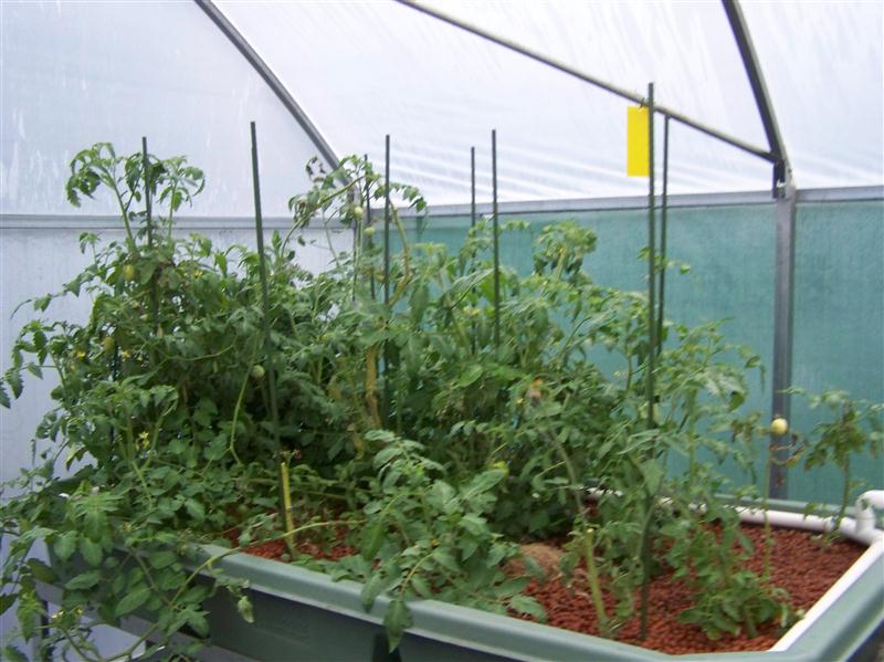 100_6123 (Custom).JPG