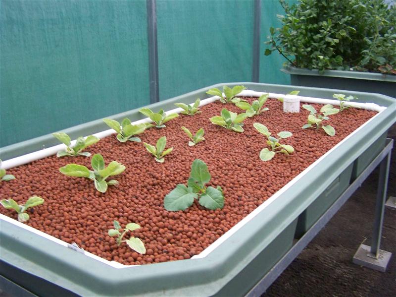 100_6124 (Custom).JPG