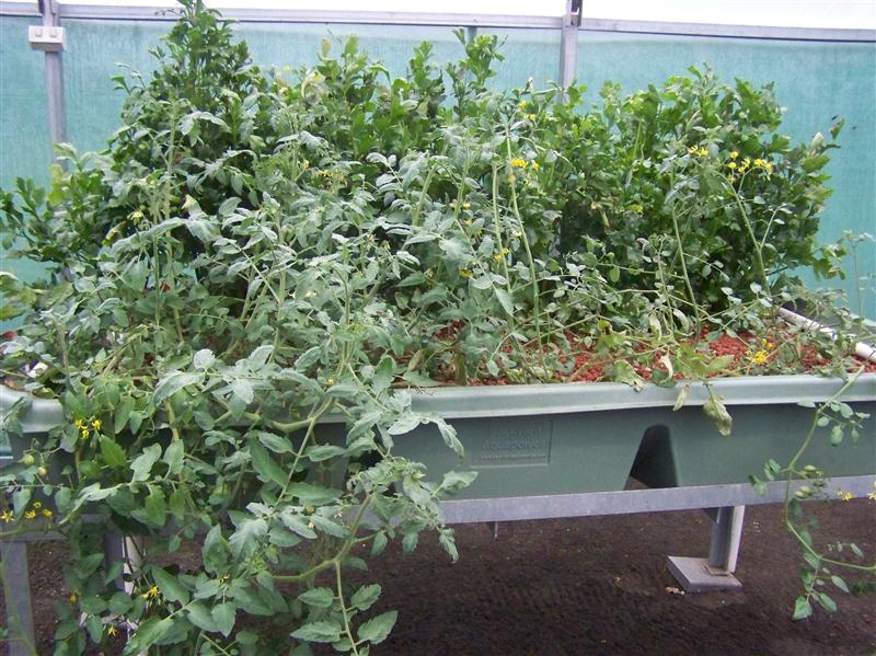 100_6125 (Custom).JPG