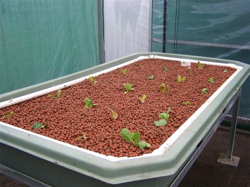 100_6126 (Custom).JPG