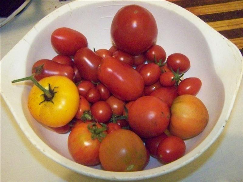 100_6128 (Custom).JPG