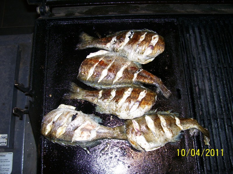 First-Harvest-Apr-2011 002.jpg