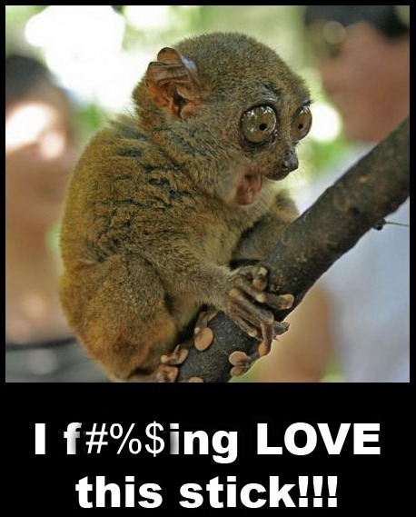 Tarsier-civil.jpg