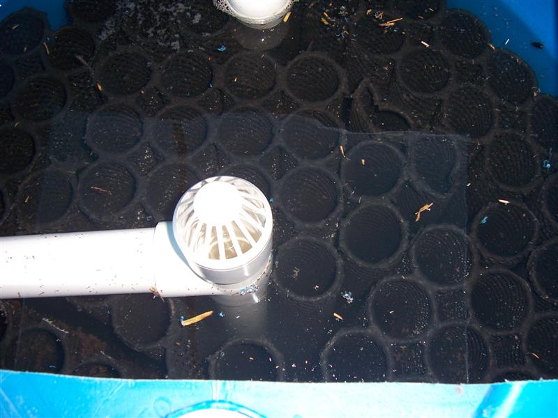 100_1945 (Medium).jpg