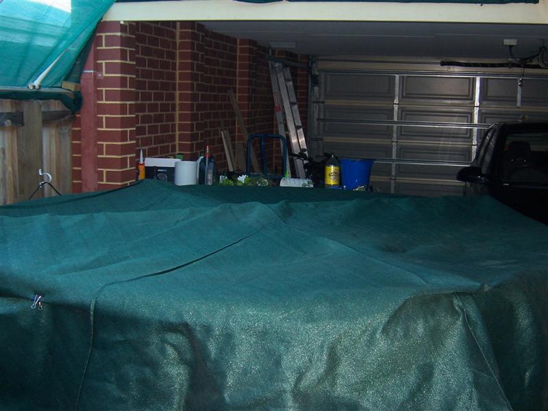 100_1944 (Medium).jpg