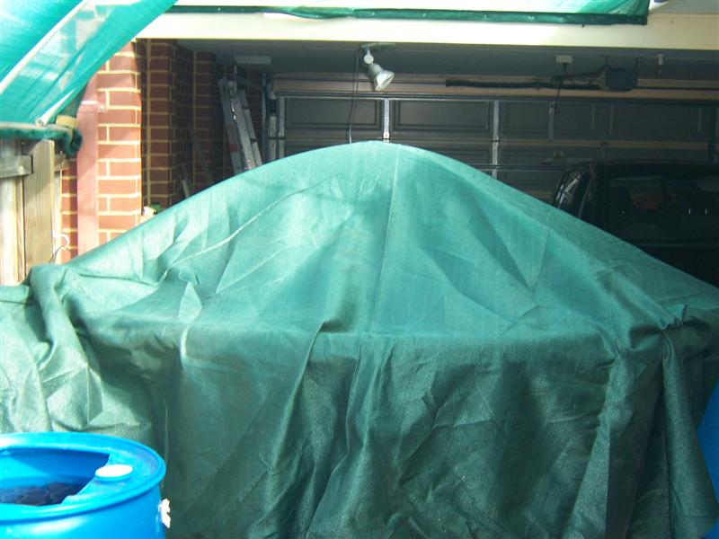 100_1950 (Medium).jpg