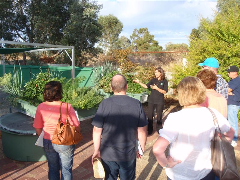 P4160361 (Medium).JPG