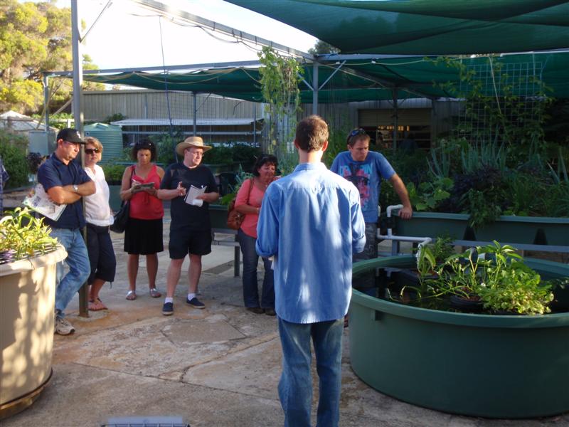 P4160365 (Medium).JPG