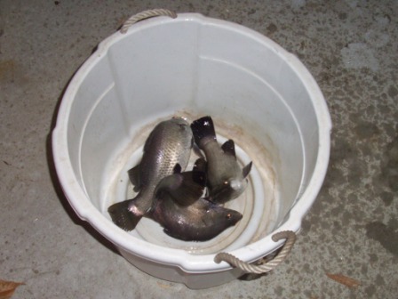 Barra_Apr11_ 004.JPG