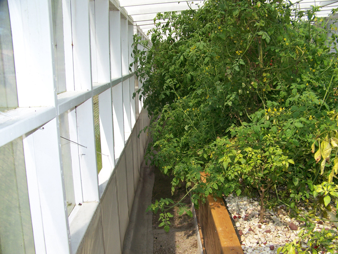 bighouse toms 4-17-11 - 2.jpg