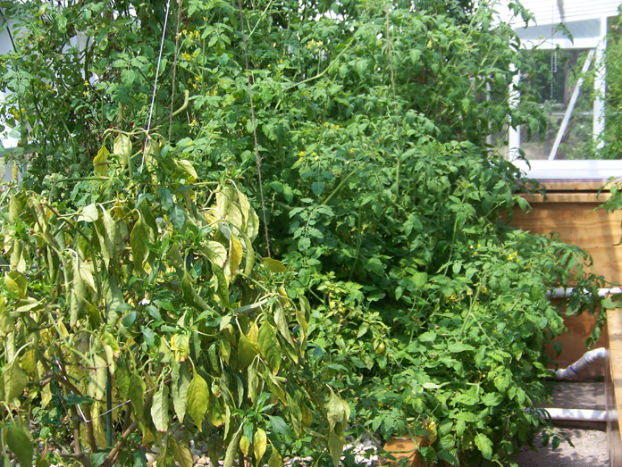 bighouse toms 4-17-11.jpg