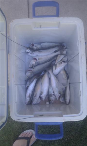 IMAG0110 (Medium).jpg