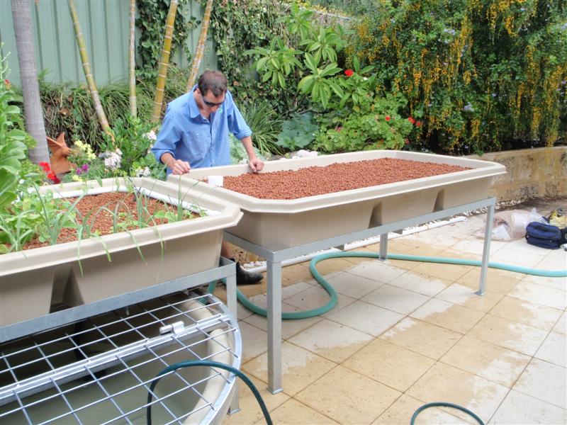 P4180199 (Medium).JPG