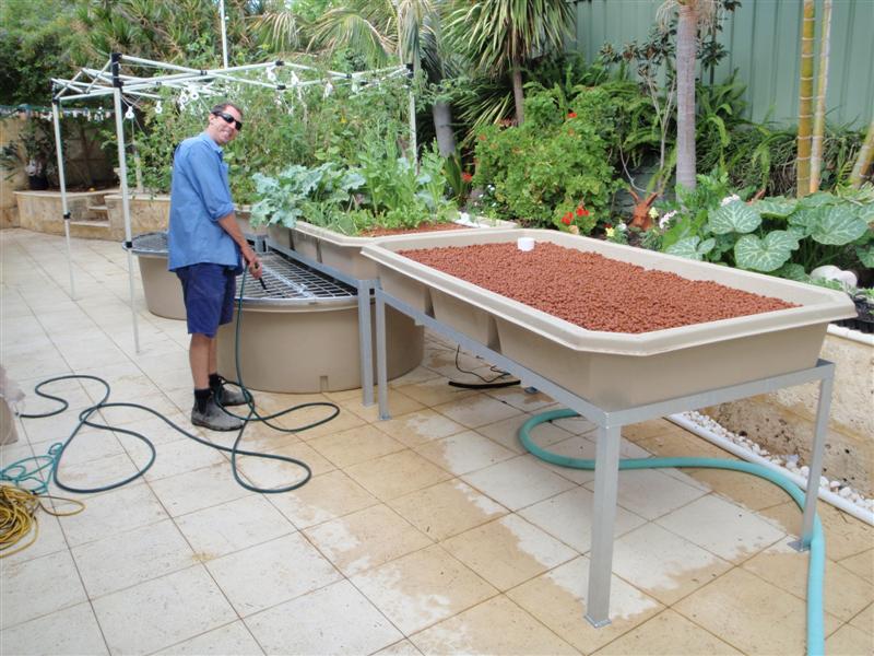 P4180200 (Medium).JPG