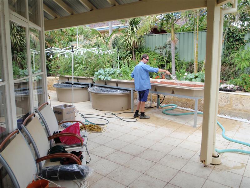 P4180201 (Medium).JPG