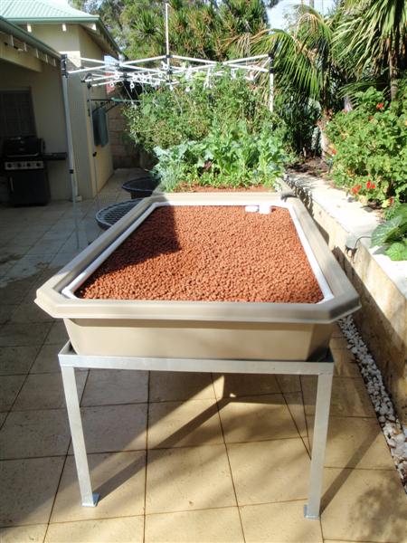 P4180203 (Medium) (2).JPG