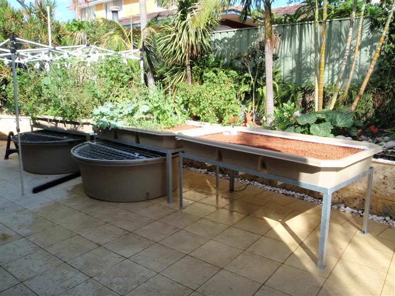 P4180202 (Medium).JPG