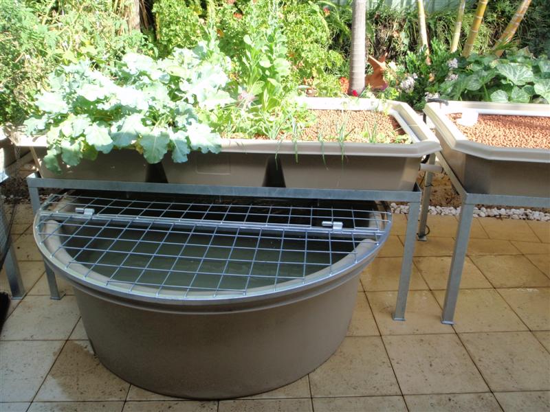 P4180205 (Medium).JPG