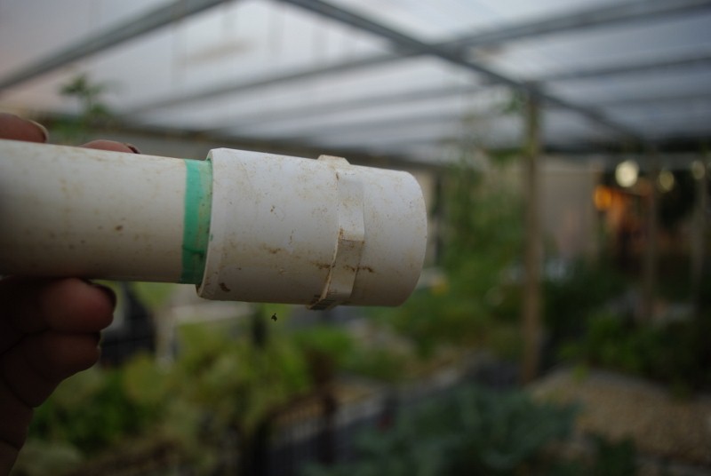 _IGP2462 (800x536).jpg