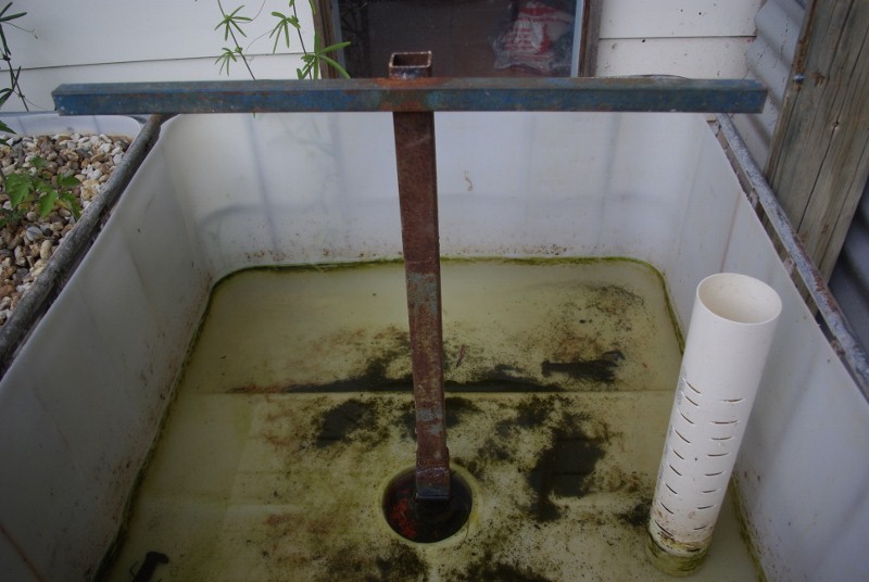 _IGP2464 (800x536).jpg