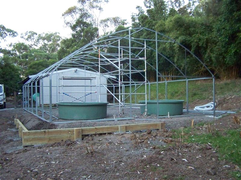 100_6164 (Custom).JPG