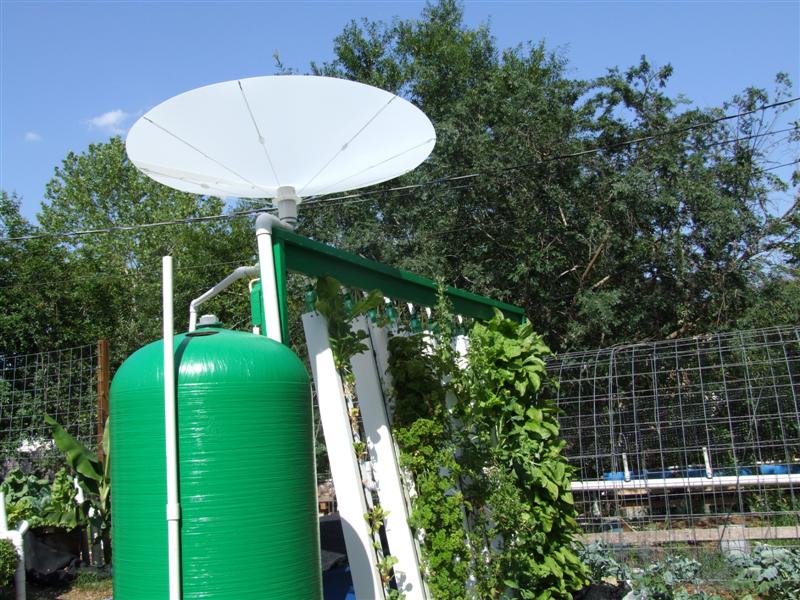 Rain saucer 2 (Medium).JPG