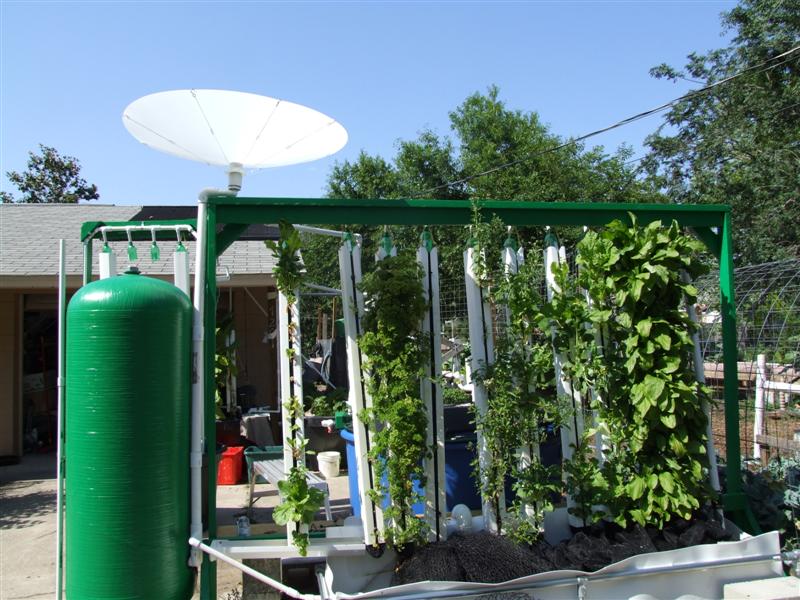 Rain Saucer 3 (Medium).JPG