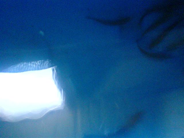 DSC00475 (Small).JPG