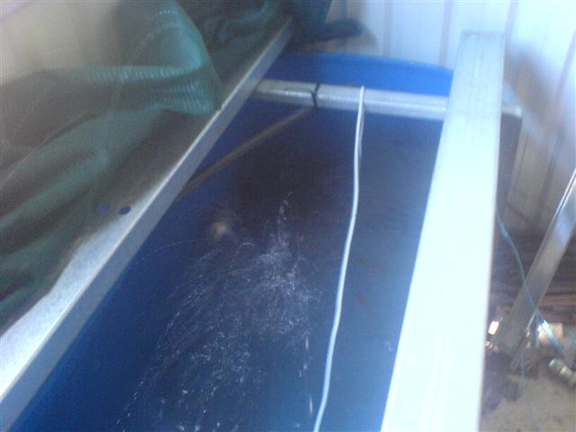 DSC00476 (Small).JPG