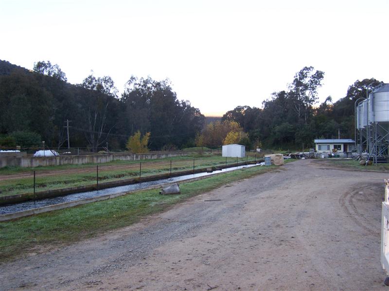 100_6175 (Custom).JPG