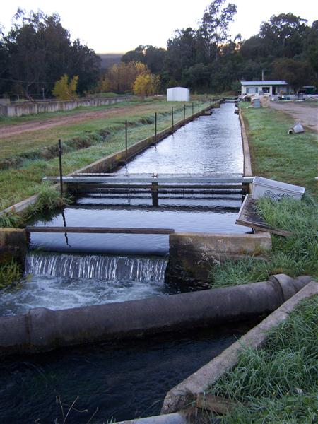 100_6169 (Custom).JPG