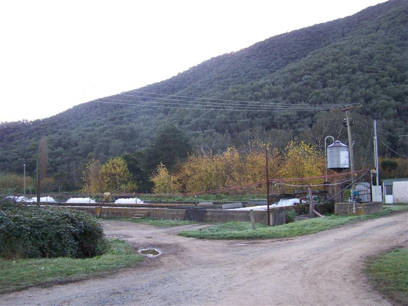 100_6176 (Custom).JPG