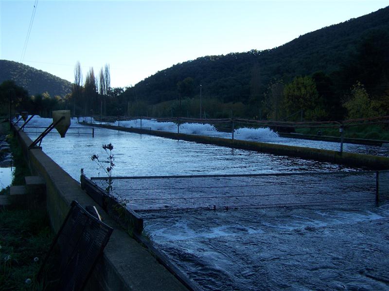 100_6174 (Custom).JPG