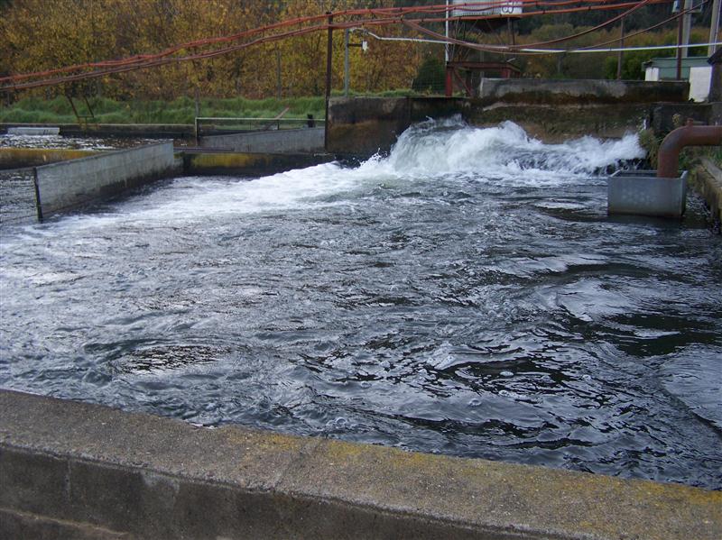 100_6173 (Custom).JPG