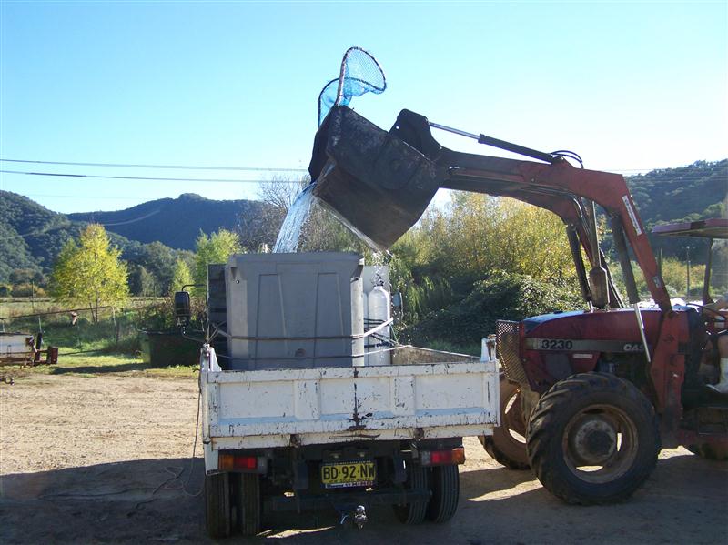 100_6183 (Custom).JPG