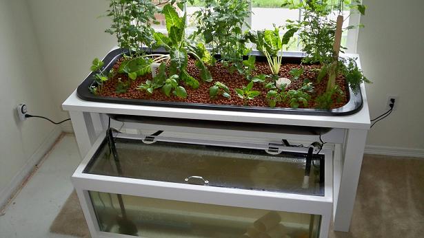 100_1319 resized.jpg