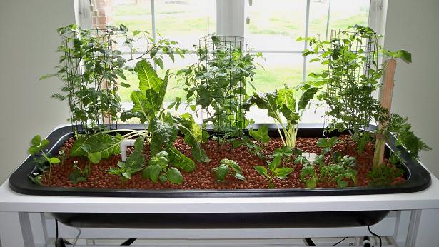 100_1316 resized.jpg