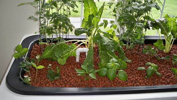 100_1321 resized.jpg