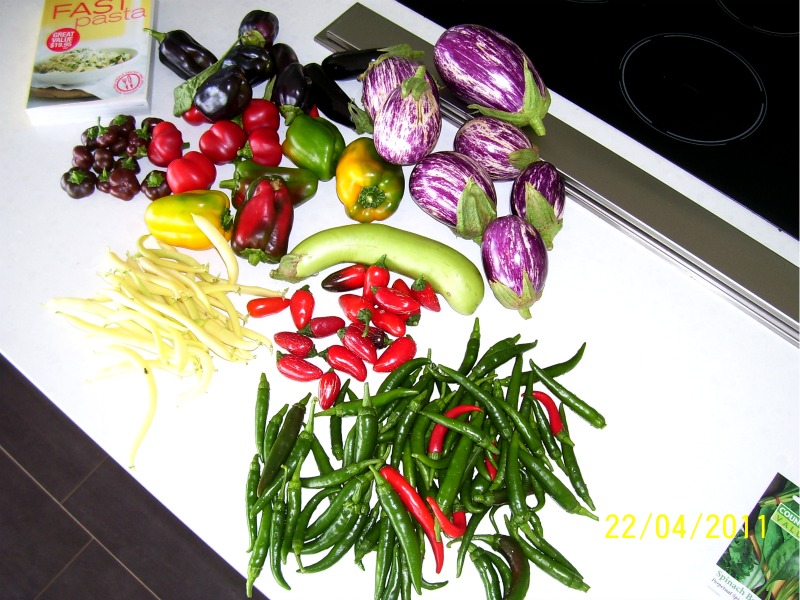 Harvest-24-Apr-2011 004.jpg