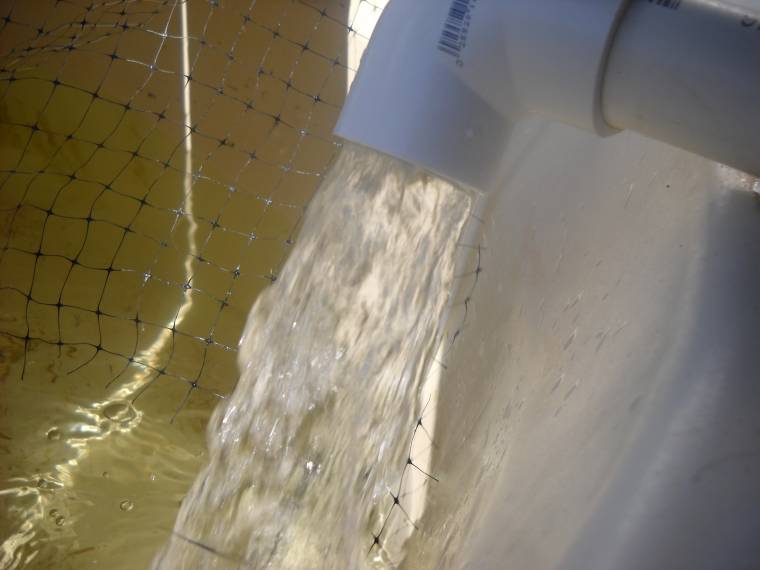 flow from bell siphon.jpg