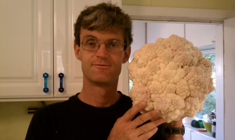 cauliflower 1.jpg