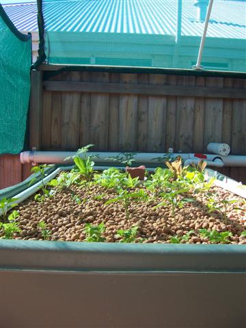 100_1964 (Small).jpg