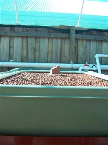 100_1966 (Small).jpg