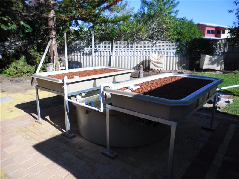 SAM_0008 (Medium).JPG