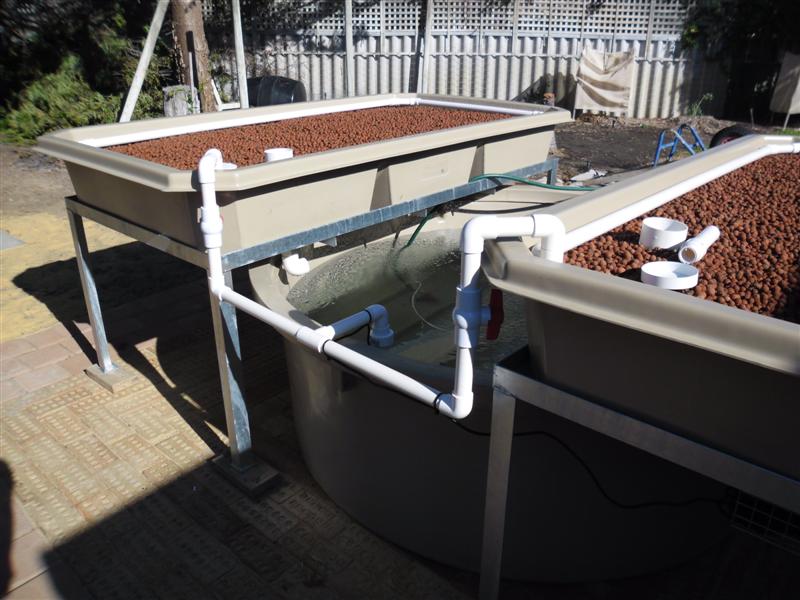 SAM_0009 (Medium).JPG