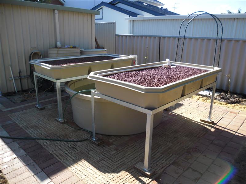 SAM_0010 (Medium).JPG