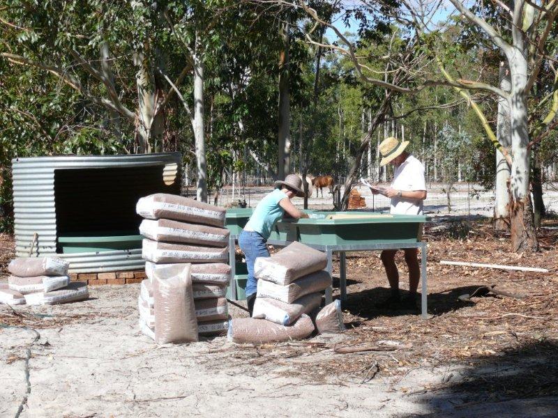 05 Reading the instructions.jpg