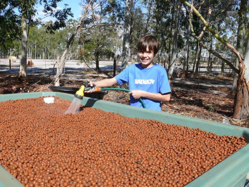 07 Washing the clay, job for the boys.jpg