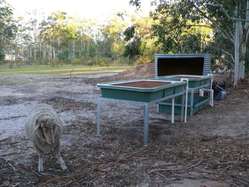 12 Seems OK - when do we eat.jpg